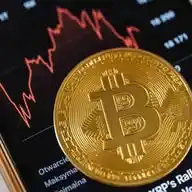 Only For Crypto....💸🪙 WhatsApp Channel