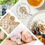 Punto Orgánico ☕ 🍄 WhatsApp Channel