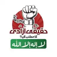 پی ٹی آئی سوشل میڈیا ورکرز WhatsApp Channel