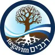 רגבים - שומרים על המדינה WhatsApp Channel