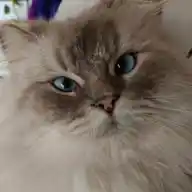glendy ???????? WhatsApp Channel