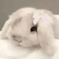 ᯓ⃝๑⊹¢υтє яαη∂σм αη∂ αят⊹๑⃝ᯓ WhatsApp Channel