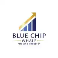 BLUE CHIP WHALE WhatsApp Channel