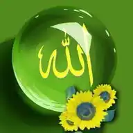 داسلامي نشراتو څانګه WhatsApp Channel