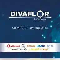 DIVAFLOR TELECOM WhatsApp Channel