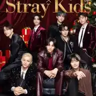 Fan de skz ✨ WhatsApp Channel