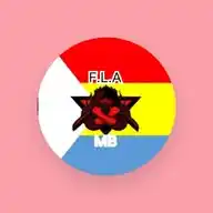 F.L.A Front De La Libération De L'azawad WhatsApp Channel