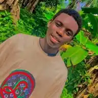 Freeboi WhatsApp Channel
