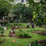 Gardening, Plantation, and Agriculture WhatsApp Channel