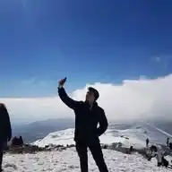 חיים כהן WhatsApp Channel