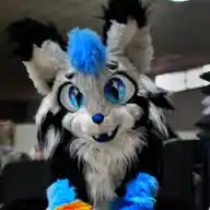 Max Woxiie WhatsApp Channel