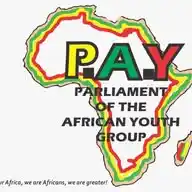 Parliament Of African Youths WhatsApp Channel