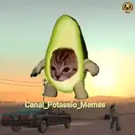 Potassio 🥑 memes WhatsApp Channel