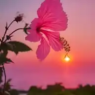 روش زندگی WhatsApp Channel