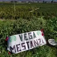 Salvar Vega Mestanza WhatsApp Channel