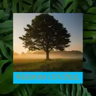 WISDOM CENTRAL WhatsApp Channel