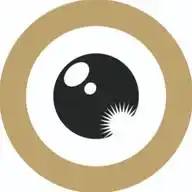 Zurich Film Festival WhatsApp Channel