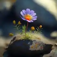 الطريق الى الجنة 🍀 WhatsApp Channel