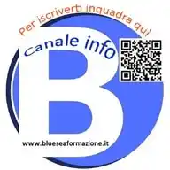 Bluesea Channel WhatsApp Channel