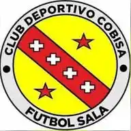 COBISA FÚTBOL SALA  WhatsApp Channel