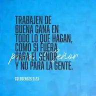 Consfrases WhatsApp Channel