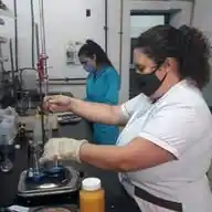 FACTA Alimentos WhatsApp Channel