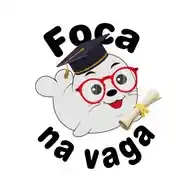 Foca na vaga - Enem e Vestibulares WhatsApp Channel