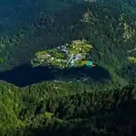 ग्रीन वैली 🌧️🌨️🌱🌿🍃☘️🍀🌳🌴🌲 WhatsApp Channel