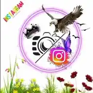 Garnal.Com WhatsApp Channel