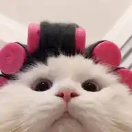 Here! 🍓 WhatsApp Channel