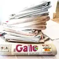 Il Gallo 🗞️ Live News WhatsApp Channel