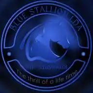 Immigration & Business Portugal.(Blue Stallion LLC Portugal) WhatsApp Channel
