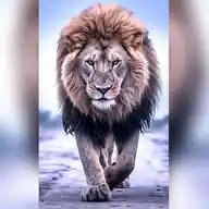 IMPARABLES WhatsApp Channel