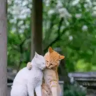 لاتحزن إن الله معنا💜☘️ WhatsApp Channel
