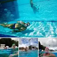 Natación Y Nutrición Deportiva WhatsApp Channel