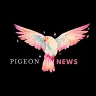 Pigeon News WhatsApp Channel