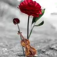 Ş İ İ R    S E V D A M WhatsApp Channel