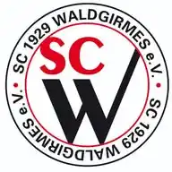 SC Waldgirmes WhatsApp Channel