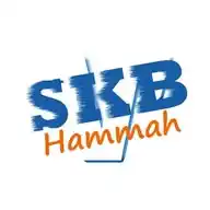 skb_hammah WhatsApp Channel