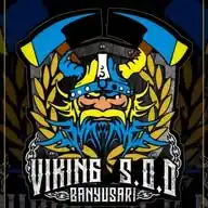 VIKING S.O.D BANYUSARI WhatsApp Channel