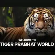 WELCOME TO TIGER PRABHAT WORLD☀️ WhatsApp Channel