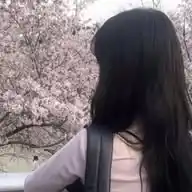ㅤ᭕˚.🌸▒.˚ㅤ# 𝖻ᧉ𝗅𝗅ᧉა  ୨୧   𝖿і𝗅𝗅ᧉა  .˚꒰🍙꒱࿐ WhatsApp Channel