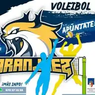 CD Villa de Aranjuez de Voley WhatsApp Channel