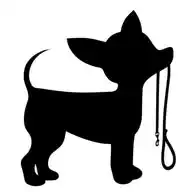 Chihuahua-Freunde WhatsApp Channel