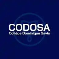 Collège Dominique Savio | CODOSA WhatsApp Channel