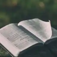 DAILY BIBLE READING (DBR) WhatsApp Channel