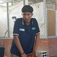 Erik Trini WhatsApp Channel