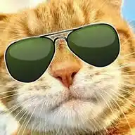 MARCELO_MM2023 WhatsApp Channel