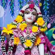 Radhey K Bhakt ❤🙏 WhatsApp Channel
