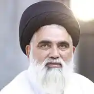 Syed Jawad Naqvi WhatsApp Channel